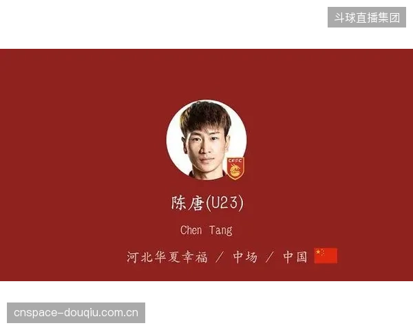 山东泰山制霸中超身价榜，其深厚青训储备成为价值核心支撑。